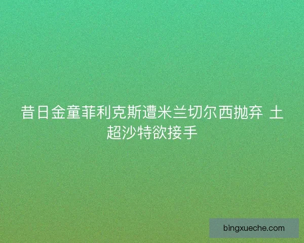 昔日金童菲利克斯遭米兰切尔西抛弃 土超沙特欲接手