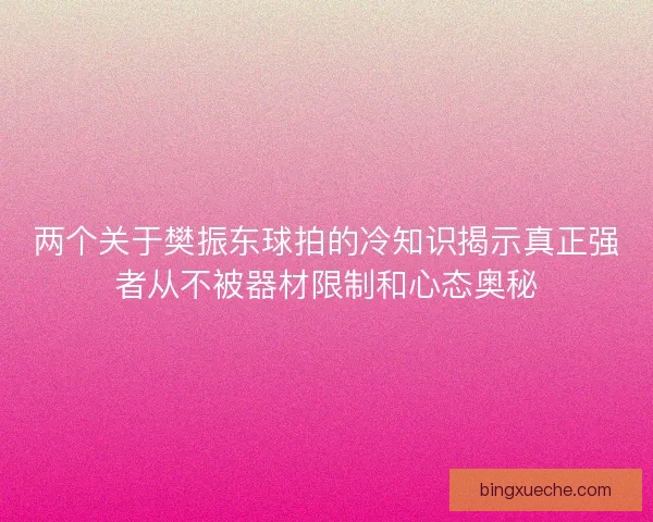 两个关于樊振东球拍的冷知识揭示真正强者从不被器材限制和心态奥秘