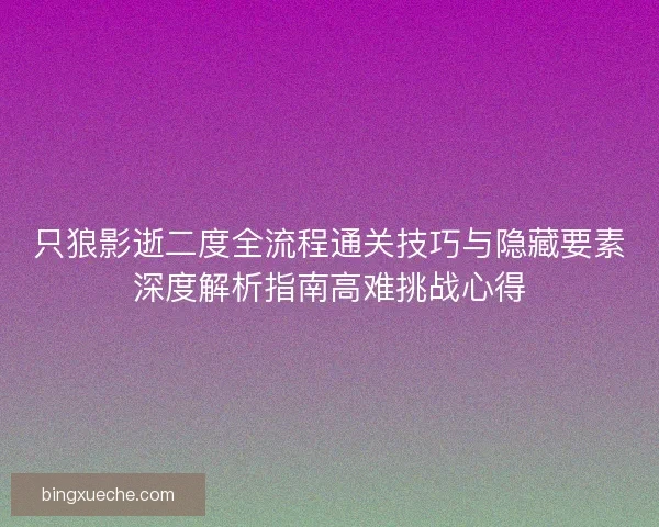 只狼影逝二度全流程通关技巧与隐藏要素深度解析指南高难挑战心得